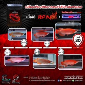 ￼Bột Vitamin Arowana Red Burn CZ30 kích màu đỏ cho cá rồng Huyết Long, La Hán, King Kong, Hồng Két, Cầu Vồng gói 10g