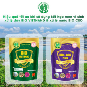 ￼Men Vi Sinh - Xử Lý Nước Ao Nuôi Thủy Sản Bio Ced VIETHAND 200gam