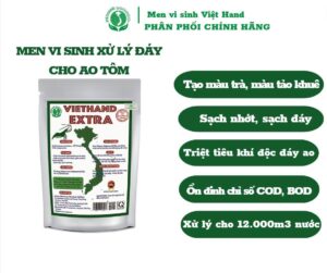 Men Vi Sinh Xử Lý Đáy Cho Ao Nuôi Thủy Sản EXTRA - VIETHAND