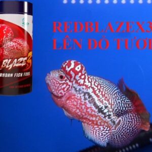 Thức ăn cho cá la hán CZ20 - Red Blaze tăng màu đỏ cho cá