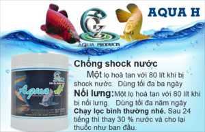 AQUA H CHỐNG SỐC VÀ CẤP CỨU KHẨN CẤP CHO CÁ RỒNG