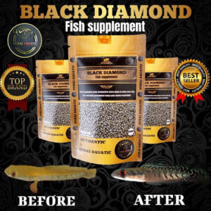 Cám Cá Lóc Black Diamond giúp làm đậm vạch, ra viền, vẩy cho cá lóc vẩy rồng