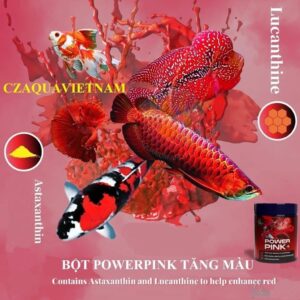 CZ7-Tăng màu sắc cho cá - POWER PINK PLUS