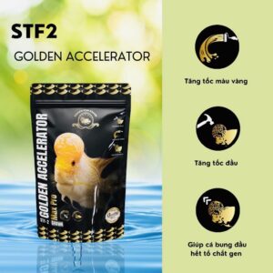 GOLDEN ACCELERATOR - STF2