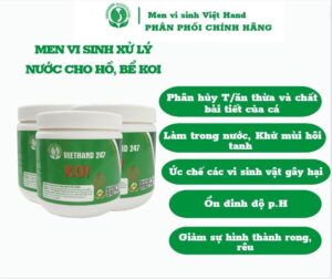 Men Vi Sinh VIETHAND - xử lý bể CÁ KOI