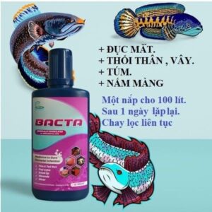 BACTA CZ8 Trị Nấm Lỡ Loét Và Đục Mắt Cho Cá Cảnh. Hàng Thái Lan