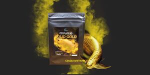 ￼Bột Vitamin Arowana Solid Gold kích màu vàng cho cá rồng Kim Long quá bối, đầu Vàng, Full helmet, King Kong, Ali gói 10g