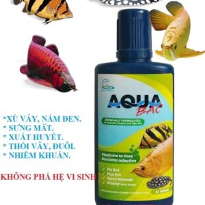 AQUA BẠC Cho Cá Rồng, Cá Hổ, Cá Sam Chai 100ml Hàng Chính Hãng Thái Lan