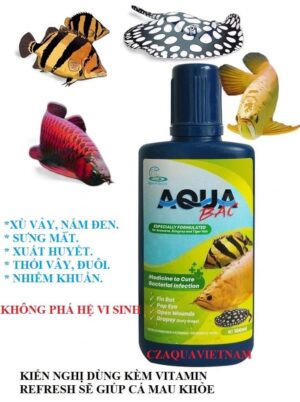 AQUA BẠC Cho Cá Rồng, Cá Hổ, Cá Sam Chai 100ml Hàng Chính Hãng Thái Lan