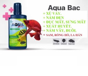 AQUA BẠC Cho Cá Rồng, Cá Hổ, Cá Sam Chai 100ml Hàng Chính Hãng Thái Lan