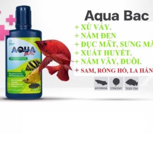 AQUA BẠC Cho Cá Rồng, Cá Hổ, Cá Sam Chai 100ml Hàng Chính Hãng Thái Lan