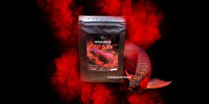 ￼Bột Vitamin Arowana Red Burn CZ30 kích màu đỏ cho cá rồng Huyết Long, La Hán, King Kong, Hồng Két, Cầu Vồng gói 10g