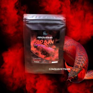 ￼Bột Vitamin Arowana Red Burn CZ30 kích màu đỏ cho cá rồng Huyết Long, La Hán, King Kong, Hồng Két, Cầu Vồng gói 10g