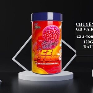 CZ19 Oriental 2 tones ( lên màu nền cho cá la hán)