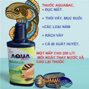 AQUA BẠC Cho Cá Rồng, Cá Hổ, Cá Sam Chai 100ml Hàng Chính Hãng Thái Lan