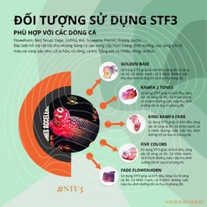 2 TONES ACCELERATOR - STF3