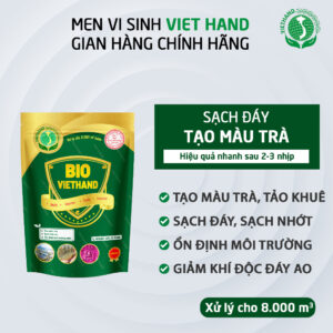 ￼Men Vi Sinh Xử Lý Đáy Cho Ao Nuôi Thủy Sản Bio Viethand - VIETHAND 200g