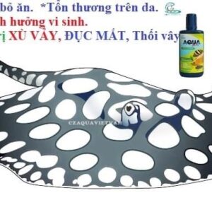 AQUA BẠC Cho Cá Rồng, Cá Hổ, Cá Sam Chai 100ml Hàng Chính Hãng Thái Lan