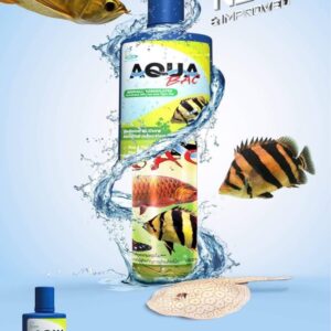 AQUA BẠC Cho Cá Rồng, Cá Hổ, Cá Sam Chai 100ml Hàng Chính Hãng Thái Lan