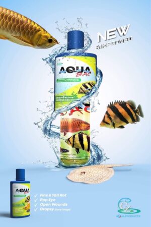 AQUA BẠC Cho Cá Rồng, Cá Hổ, Cá Sam Chai 100ml Hàng Chính Hãng Thái Lan