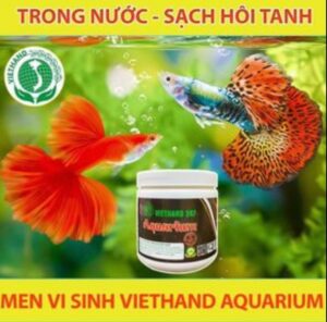 Vi Sinh Cho Cá Cảnh AQUARIUM VIETHAND247