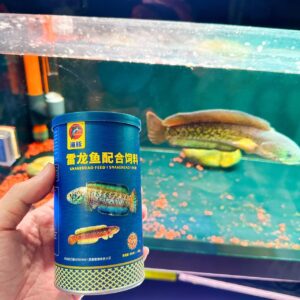 ￼Thức Ăn Cá Lóc Giúp Lên Màu Cá, Tăng Màu Sắc, Bóng Vảy Porpoise Hủ 125g