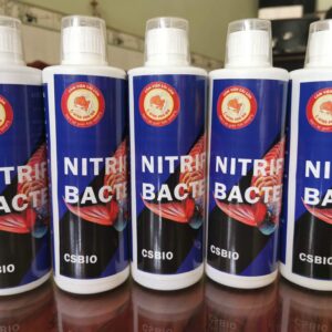 ￼vi sinh cao cấp cá cảnh CSBIO 500ml