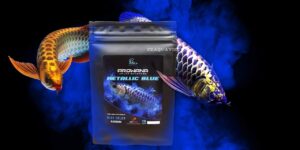 TĂNG MÀU XANH TỰ NHIÊN CHO CÁ RỒNG - AROWANA METALLI BLUE 10G - CZ32 (THAILAND)