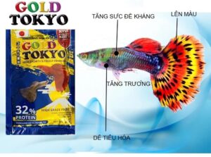 Thức ăn cá cảnh Tokyo Gold 100g