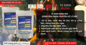 ♻️ Dòng sản phẩm chuyên xử lý đáy - nhớt bạt hồ cá VI SINH KING BIO 👑