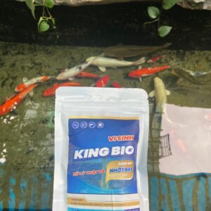 ♻️ Dòng sản phẩm chuyên xử lý đáy - nhớt bạt hồ cá VI SINH KING BIO 👑